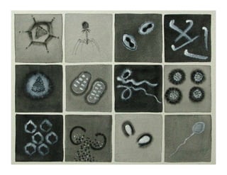 1 - Microbiologia basica.pdf