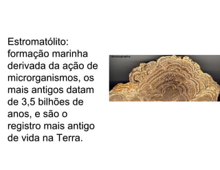 Estromatólito:
formação marinha
derivada da ação de
microrganismos, os
mais antigos datam
de 3,5 bilhões de
anos, e são o
registro mais antigo
de vida na Terra.
 