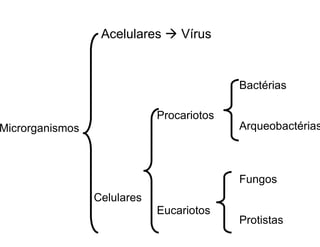 Microrganismos
Acelulares  Vírus
Celulares
Bactérias
Arqueobactérias
Procariotos
Eucariotos
Fungos
Protistas
 