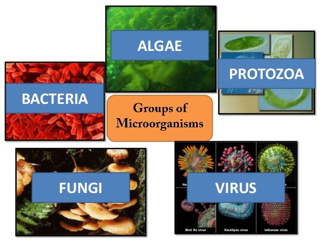 SCIENCE FORM5: CHAPTER 1