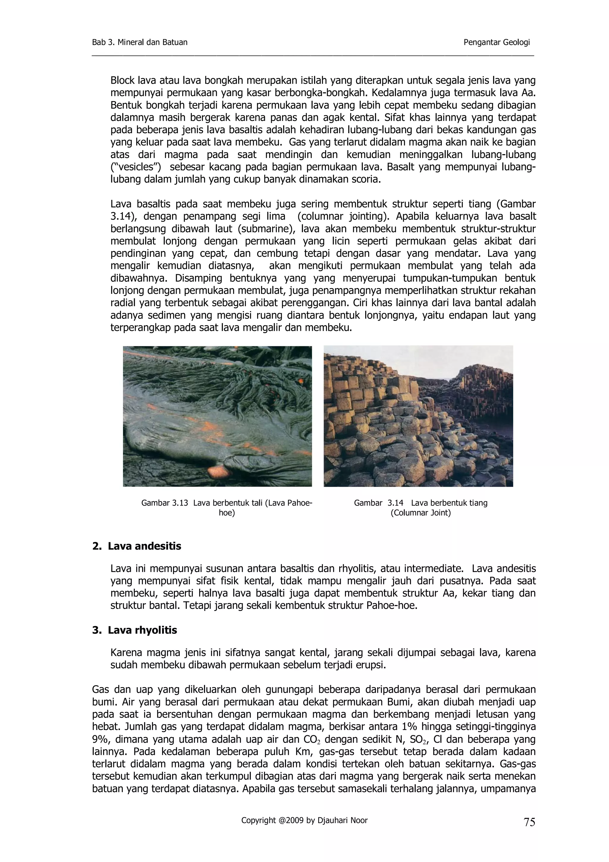 Bab 3. Mineral dan Batuan Pengantar Geologi
___________________________________________________________________________________________________
Copyright @2009 by Djauhari Noor 75
Block lava atau lava bongkah merupakan istilah yang diterapkan untuk segala jenis lava yang
mempunyai permukaan yang kasar berbongka-bongkah. Kedalamnya juga termasuk lava Aa.
Bentuk bongkah terjadi karena permukaan lava yang lebih cepat membeku sedang dibagian
dalamnya masih bergerak karena panas dan agak kental. Sifat khas lainnya yang terdapat
pada beberapa jenis lava basaltis adalah kehadiran lubang-lubang dari bekas kandungan gas
yang keluar pada saat lava membeku. Gas yang terlarut didalam magma akan naik ke bagian
atas dari magma pada saat mendingin dan kemudian meninggalkan lubang-lubang
(“vesicles”) sebesar kacang pada bagian permukaan lava. Basalt yang mempunyai lubang-
lubang dalam jumlah yang cukup banyak dinamakan scoria.
Lava basaltis pada saat membeku juga sering membentuk struktur seperti tiang (Gambar
3.14), dengan penampang segi lima (columnar jointing). Apabila keluarnya lava basalt
berlangsung dibawah laut (submarine), lava akan membeku membentuk struktur-struktur
membulat lonjong dengan permukaan yang licin seperti permukaan gelas akibat dari
pendinginan yang cepat, dan cembung tetapi dengan dasar yang mendatar. Lava yang
mengalir kemudian diatasnya, akan mengikuti permukaan membulat yang telah ada
dibawahnya. Disamping bentuknya yang yang menyerupai tumpukan-tumpukan bentuk
lonjong dengan permukaan membulat, juga penampangnya memperlihatkan struktur rekahan
radial yang terbentuk sebagai akibat perenggangan. Ciri khas lainnya dari lava bantal adalah
adanya sedimen yang mengisi ruang diantara bentuk lonjongnya, yaitu endapan laut yang
terperangkap pada saat lava mengalir dan membeku.
Gambar 3.13 Lava berbentuk tali (Lava Pahoe-
hoe)
Gambar 3.14 Lava berbentuk tiang
(Columnar Joint)
2. Lava andesitis
Lava ini mempunyai susunan antara basaltis dan rhyolitis, atau intermediate. Lava andesitis
yang mempunyai sifat fisik kental, tidak mampu mengalir jauh dari pusatnya. Pada saat
membeku, seperti halnya lava basalti juga dapat membentuk struktur Aa, kekar tiang dan
struktur bantal. Tetapi jarang sekali kembentuk struktur Pahoe-hoe.
3. Lava rhyolitis
Karena magma jenis ini sifatnya sangat kental, jarang sekali dijumpai sebagai lava, karena
sudah membeku dibawah permukaan sebelum terjadi erupsi.
Gas dan uap yang dikeluarkan oleh gunungapi beberapa daripadanya berasal dari permukaan
bumi. Air yang berasal dari permukaan atau dekat permukaan Bumi, akan diubah menjadi uap
pada saat ia bersentuhan dengan permukaan magma dan berkembang menjadi letusan yang
hebat. Jumlah gas yang terdapat didalam magma, berkisar antara 1% hingga setinggi-tingginya
9%, dimana yang utama adalah uap air dan CO2 dengan sedikit N, SO2, Cl dan beberapa yang
lainnya. Pada kedalaman beberapa puluh Km, gas-gas tersebut tetap berada dalam kadaan
terlarut didalam magma yang berada dalam kondisi tertekan oleh batuan sekitarnya. Gas-gas
tersebut kemudian akan terkumpul dibagian atas dari magma yang bergerak naik serta menekan
batuan yang terdapat diatasnya. Apabila gas tersebut samasekali terhalang jalannya, umpamanya
 