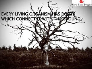 EVERY LIVING ORGANISM HAS ROOTS
WHICH CONNECT IT WITH THE GROUND
 