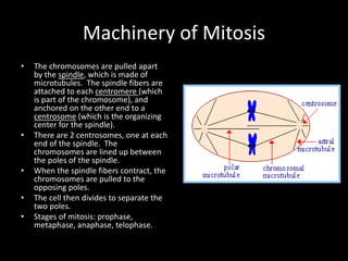 1-mitosis-genetics-cytogenetics-cell.pptx