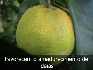 Favorecem o amadurecimento de
            ideias
 
