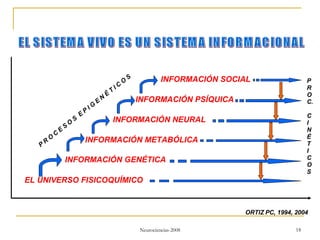 ORTIZ PC, 1994, 2004 P R O C. C I N É T I C O S P R O C E S O S  E P I G E N É T I C O S EL UNIVERSO FISICOQUÍMICO INFORMACIÓN GENÉTICA INFORMACIÓN METABÓLICA INFORMACIÓN NEURAL INFORMACIÓN PSÍQUICA INFORMACIÓN SOCIAL EL SISTEMA VIVO ES UN SISTEMA INFORMACIONAL 