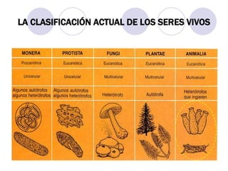 LA CLASIFICACIÓN ACTUAL DE LOS SERES VIVOS 