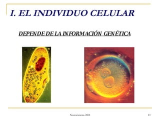 I. EL INDIVIDUO CELULAR DEPENDE DE LA INFORMACIÓN GENÉTICA 