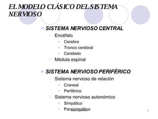 EL MODELO CLÁSICO DEL SISTEMA NERVIOSO SISTEMA NERVIOSO CENTRAL Encéfalo Cerebro Tronco cerebral Cerebelo  Médula espinal SISTEMA NERVIOSO PERIFÉRICO Sistema nervioso de relación Craneal Periférico Sistema nervioso autonómico Simpático Parasimpático 