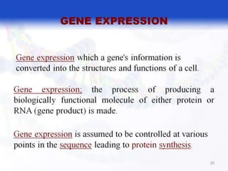  BASIC MOLECULAR BIOLOGY.pptx