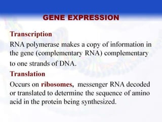  BASIC MOLECULAR BIOLOGY.pptx