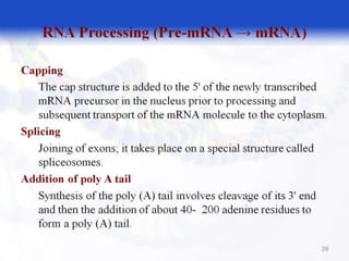  BASIC MOLECULAR BIOLOGY.pptx