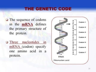  BASIC MOLECULAR BIOLOGY.pptx