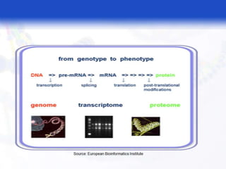  BASIC MOLECULAR BIOLOGY.pptx