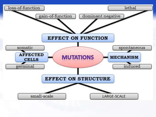  BASIC MOLECULAR BIOLOGY.pptx