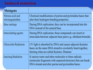  BASIC MOLECULAR BIOLOGY.pptx