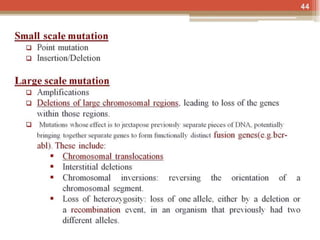  BASIC MOLECULAR BIOLOGY.pptx