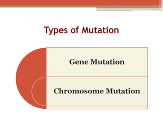  BASIC MOLECULAR BIOLOGY.pptx