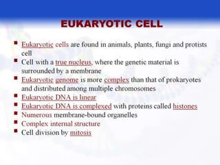  BASIC MOLECULAR BIOLOGY.pptx