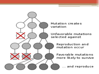  BASIC MOLECULAR BIOLOGY.pptx
