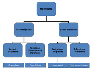 MORPHEME
Free Morpheme Bound Morpheme
Lexical
Morpheme
Functional
(Grammatical)
Morpheme
Derivational
Morpheme
Inflectional
Morpheme
Open class Closed class New words Grammatical words
 