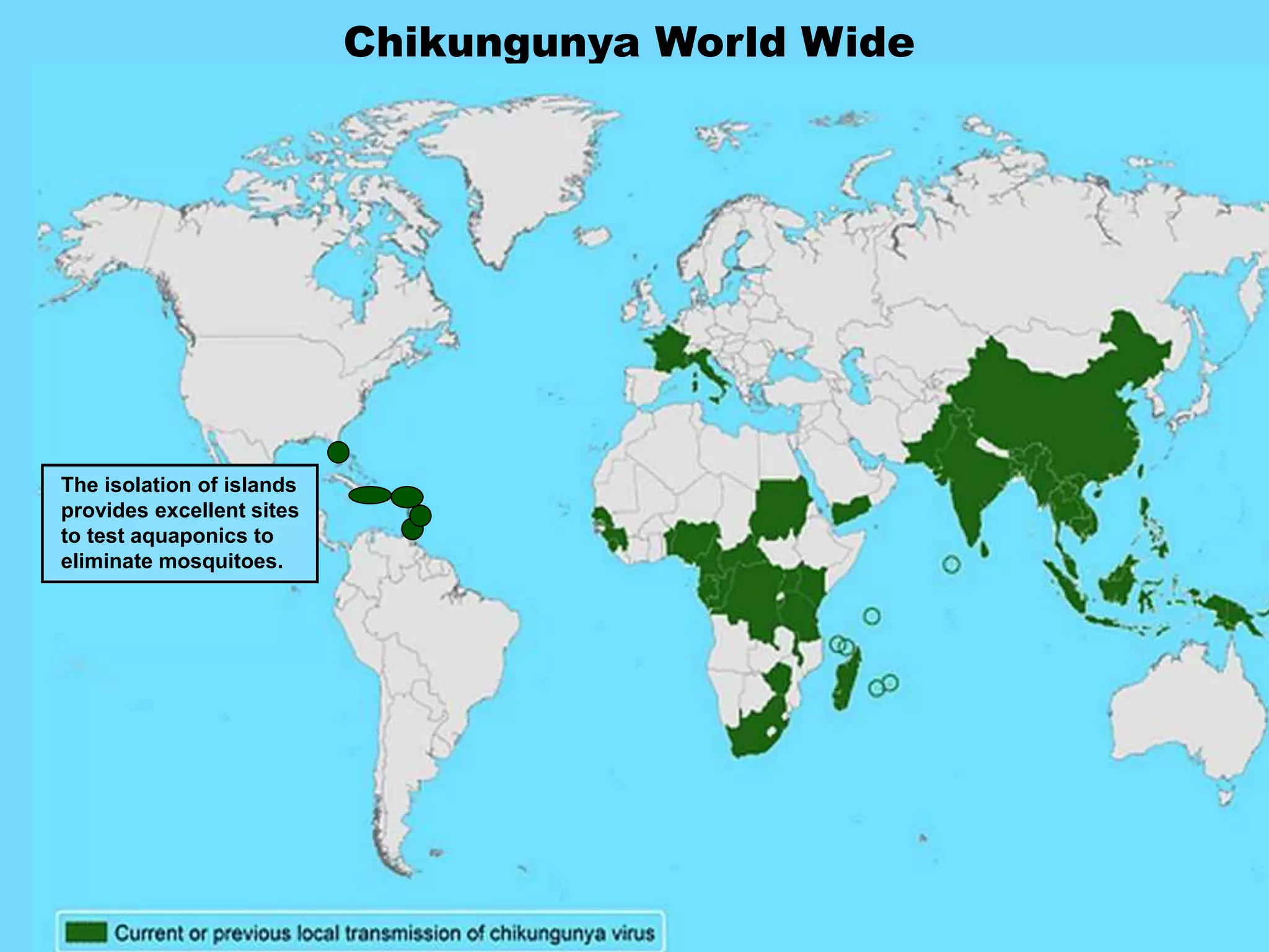 Chikungunya World Wide
The isolation of islands
provides excellent sites
to test aquaponics to
eliminate mosquitoes.
 