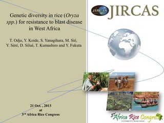 Genetic diversity in rice (Oryza
spp.) for resistance to blast disease
in West Africa
T. Odjo, Y. Koide, S. Yanagihara, M. Sié,
Y. Séré, D. Silué, T. Kumashiro and Y. Fukuta

21 Oct. , 2013
at
rd Africa Rice Congress
3

JIRCAS

 