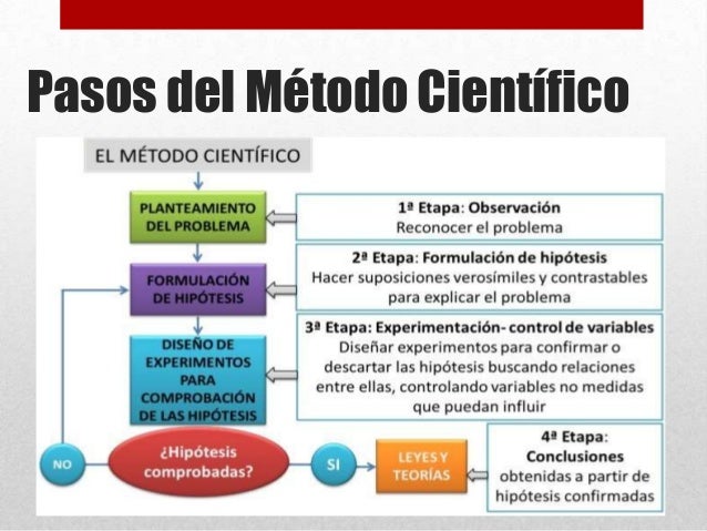 1. método científico