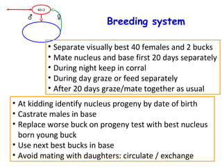 Experiences with breeding structures for genetic improvement of small ...