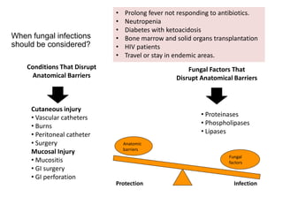 1-Mycology-Introduction.ppt