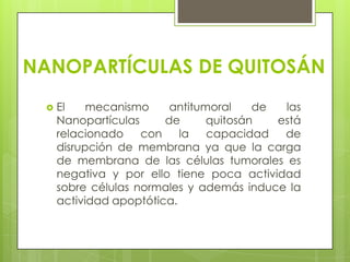 NANOPARTÍCULAS DE QUITOSÁN
     El    mecanismo     antitumoral    de  las
      Nanopartículas     de      quitosán   está
      relacionado    con    la   capacidad   de
      disrupción de membrana ya que la carga
      de membrana de las células tumorales es
      negativa y por ello tiene poca actividad
      sobre células normales y además induce la
      actividad apoptótica.
 