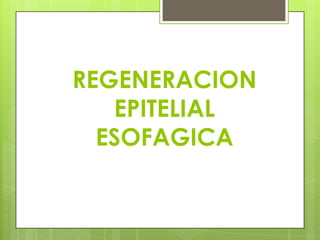 REGENERACION
   EPITELIAL
  ESOFAGICA
 