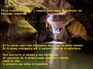 Tú no creaste tu cuerpo, y tampoco eres capaz de controlar las funciones corporales. En tu cuerpo opera una inteligencia mayor que la mente humana.   Es la misma inteligencia que lo sustenta todo en la naturaleza. Para acercarte al máximo a esa inteligencia,  sé consciente de tu propio campo energético interno,  siente la vida,  la presencia que anima el organismo. 