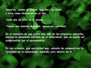 Observa, siente un animal, una flor, un árbol,  y mira como descansan en el Ser.      Es una armonía, una sacralidad que, además de compenetrar la totalidad de la naturaleza, también esta dentro de ti..     Cada uno de ellos es él mismo.   Tienen una enorme dignidad, inocencia, santidad.   En el momento en que miras más allá de las etiquetas mentales, sientes la dimensión inefable de la naturaleza, que no puede ser comprendida por el pensamiento.      