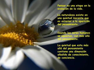 Pensar es una etapa en la evolución de la vida.   La naturaleza existe en una quietud inocente que es anterior a la aparición del pensamiento. Cuando los seres humanos se aquietan, van más allá del pensamiento.   La quietud que esta más allá del pensamiento contiene una dimensión añadida de conocimiento, de conciencia.   
