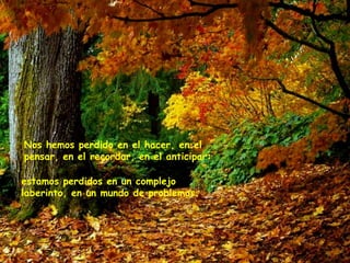 Nos hemos perdido en el hacer, en el pensar, en el recordar, en el anticipar: estamos perdidos en un complejo laberinto, en un mundo de problemas.   