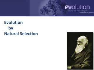 Evolution   by  Natural Selection 