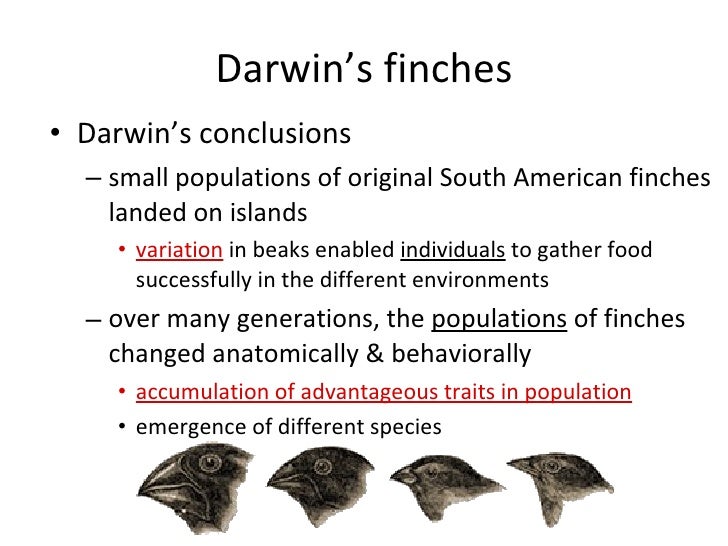 1. Natural Selection