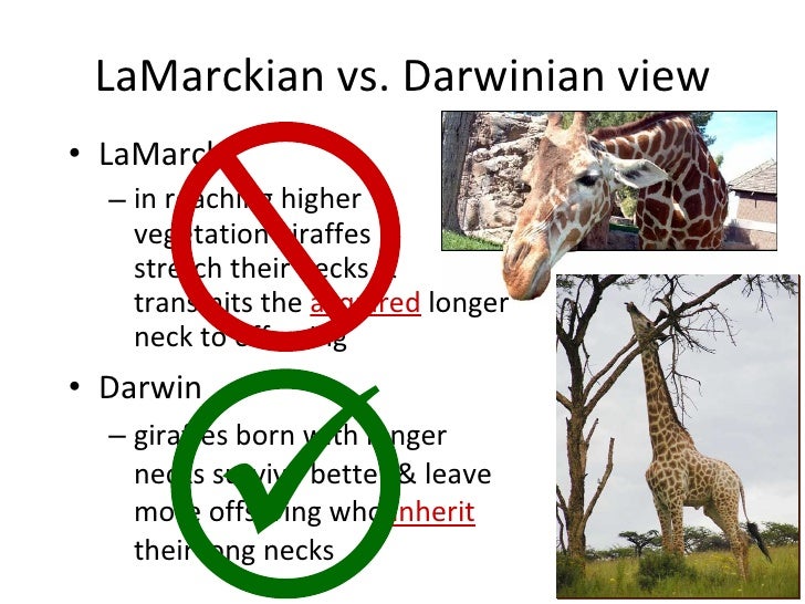 Acquired Characteristics Vs Natural Selection Acquired Characteristics Vs Natural Selection