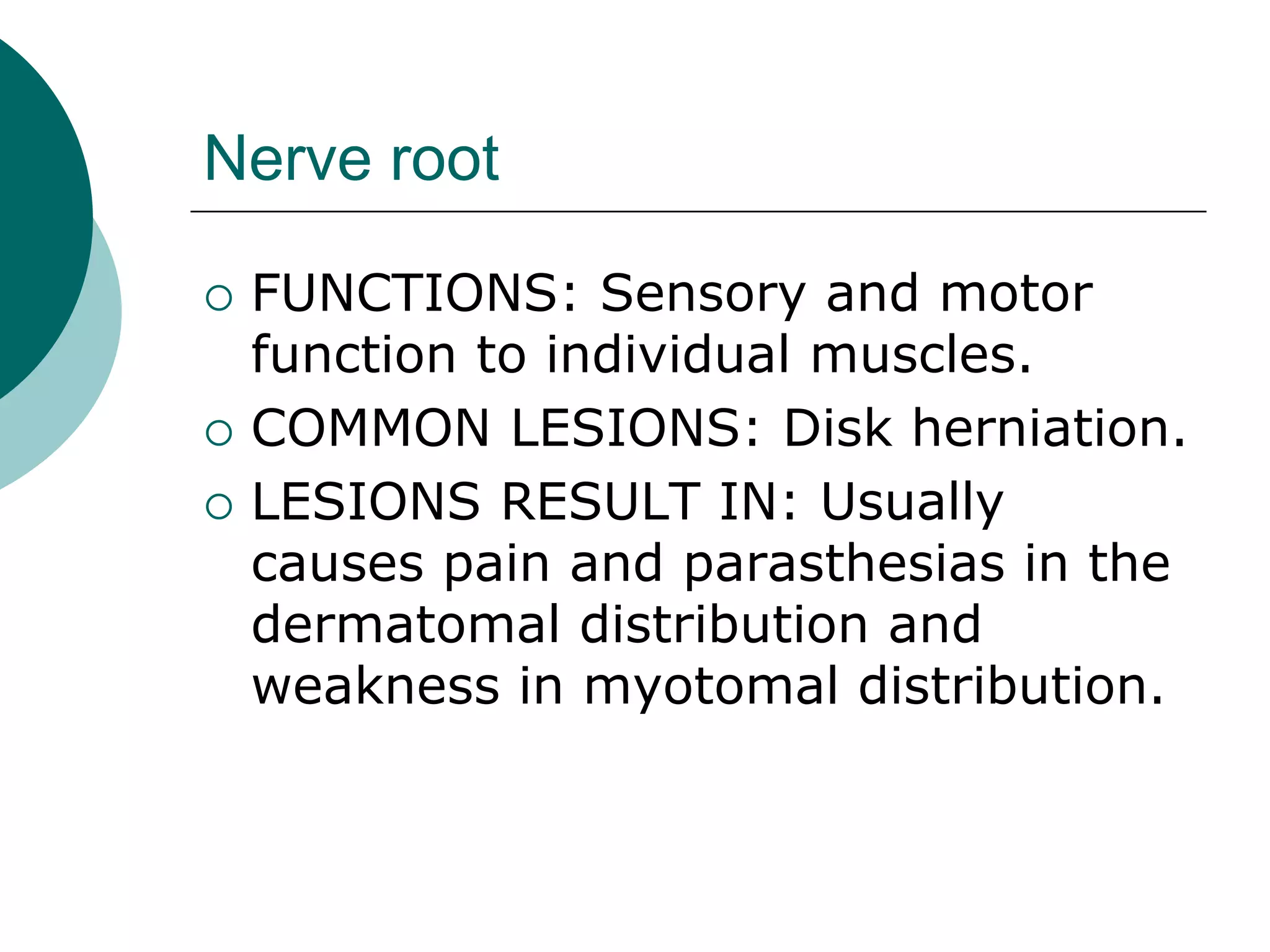 Nerve root
 FUNCTIONS: Sensory and motor
function to individual muscles.
 COMMON LESIONS: Disk herniation.
 LESIONS RESULT IN: Usually
causes pain and parasthesias in the
dermatomal distribution and
weakness in myotomal distribution.
 
