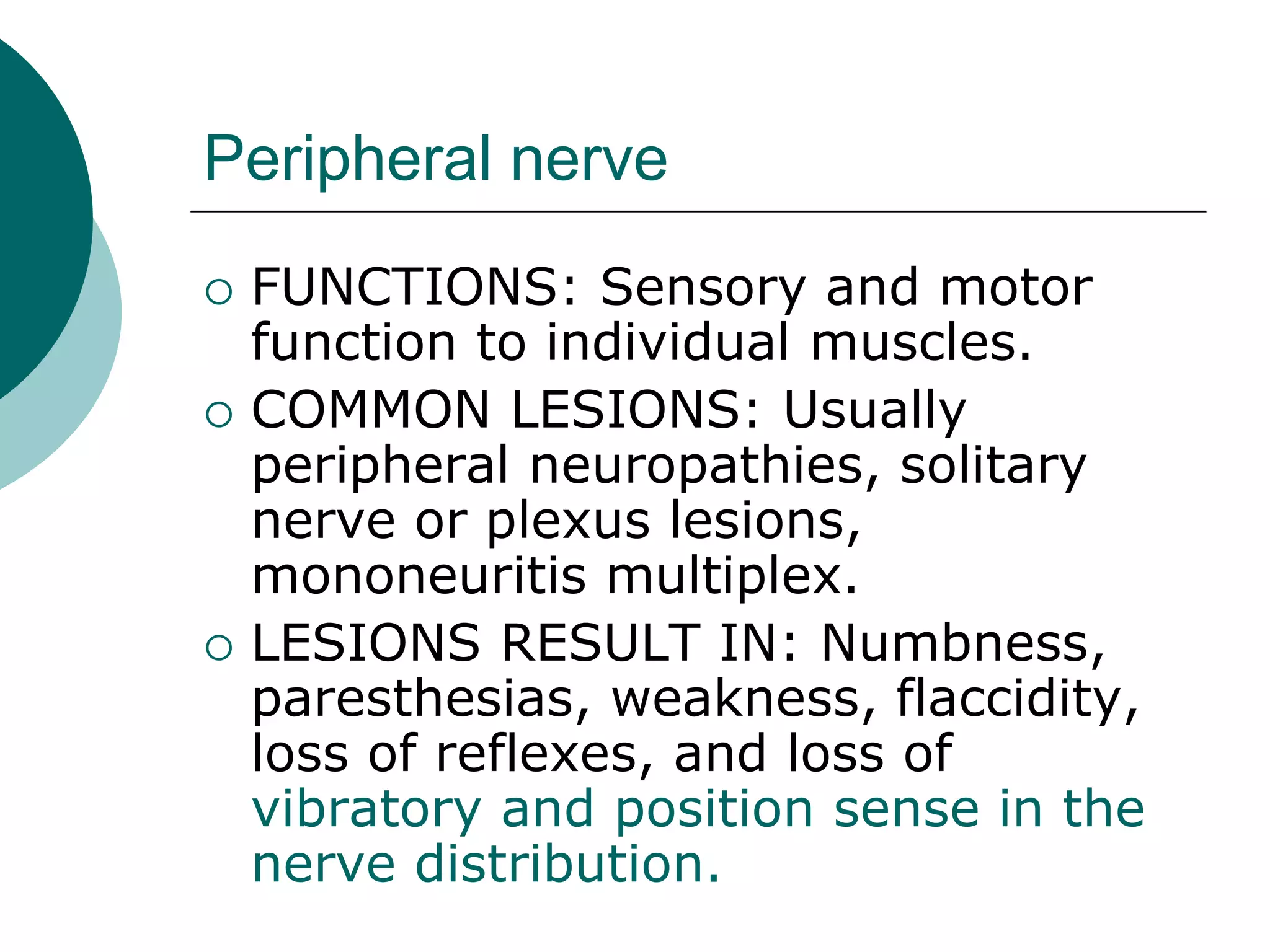 Peripheral nerve
 FUNCTIONS: Sensory and motor
function to individual muscles.
 COMMON LESIONS: Usually
peripheral neuropathies, solitary
nerve or plexus lesions,
mononeuritis multiplex.
 LESIONS RESULT IN: Numbness,
paresthesias, weakness, flaccidity,
loss of reflexes, and loss of
vibratory and position sense in the
nerve distribution.
 