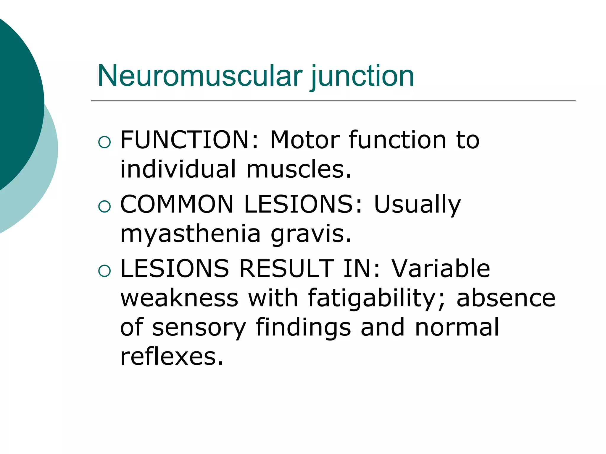 Neuromuscular junction
 FUNCTION: Motor function to
individual muscles.
 COMMON LESIONS: Usually
myasthenia gravis.
 LESIONS RESULT IN: Variable
weakness with fatigability; absence
of sensory findings and normal
reflexes.
 