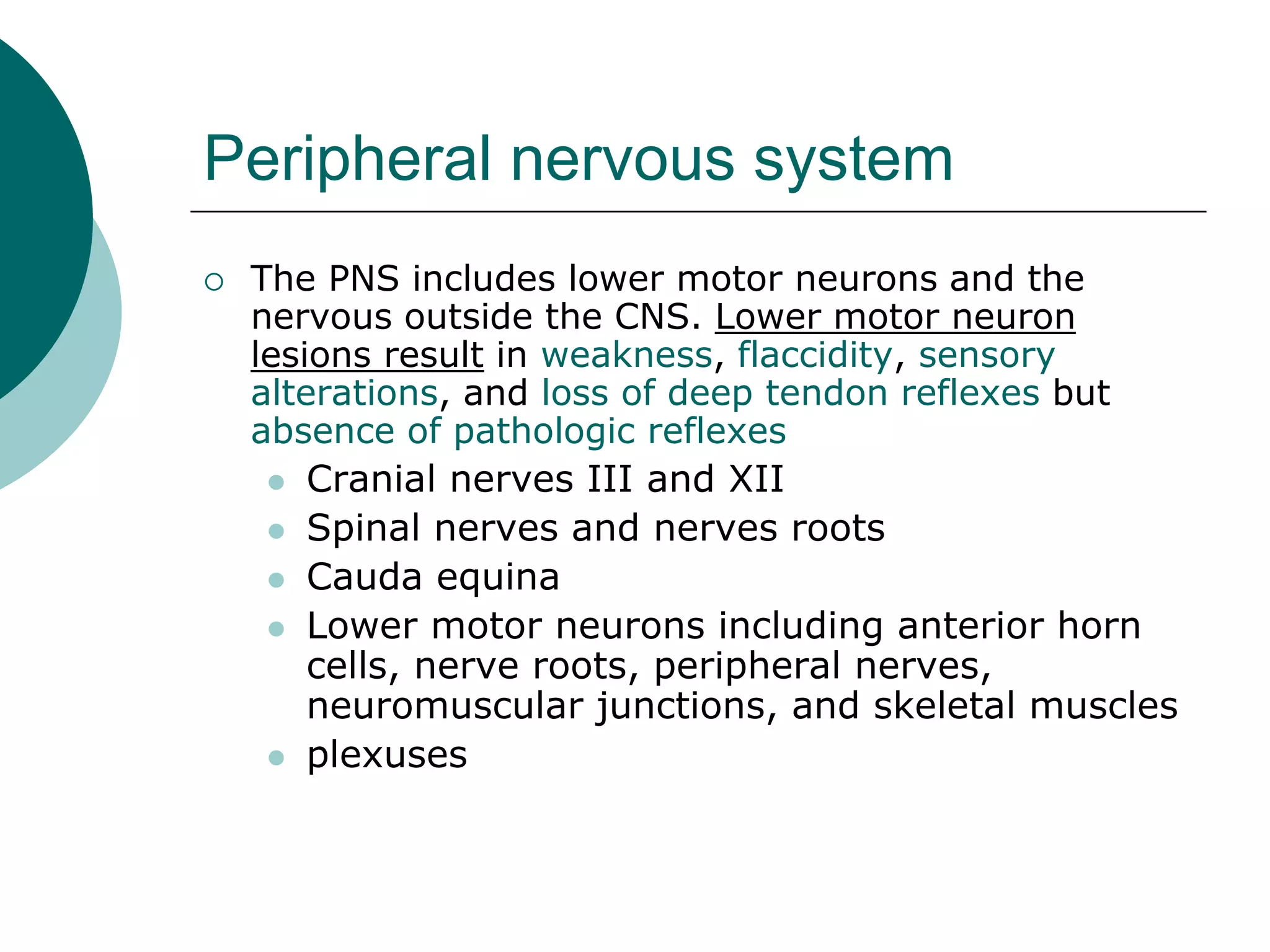 Peripheral nervous system
 The PNS includes lower motor neurons and the
nervous outside the CNS. Lower motor neuron
lesions result in weakness, flaccidity, sensory
alterations, and loss of deep tendon reflexes but
absence of pathologic reflexes
 Cranial nerves III and XII
 Spinal nerves and nerves roots
 Cauda equina
 Lower motor neurons including anterior horn
cells, nerve roots, peripheral nerves,
neuromuscular junctions, and skeletal muscles
 plexuses
 