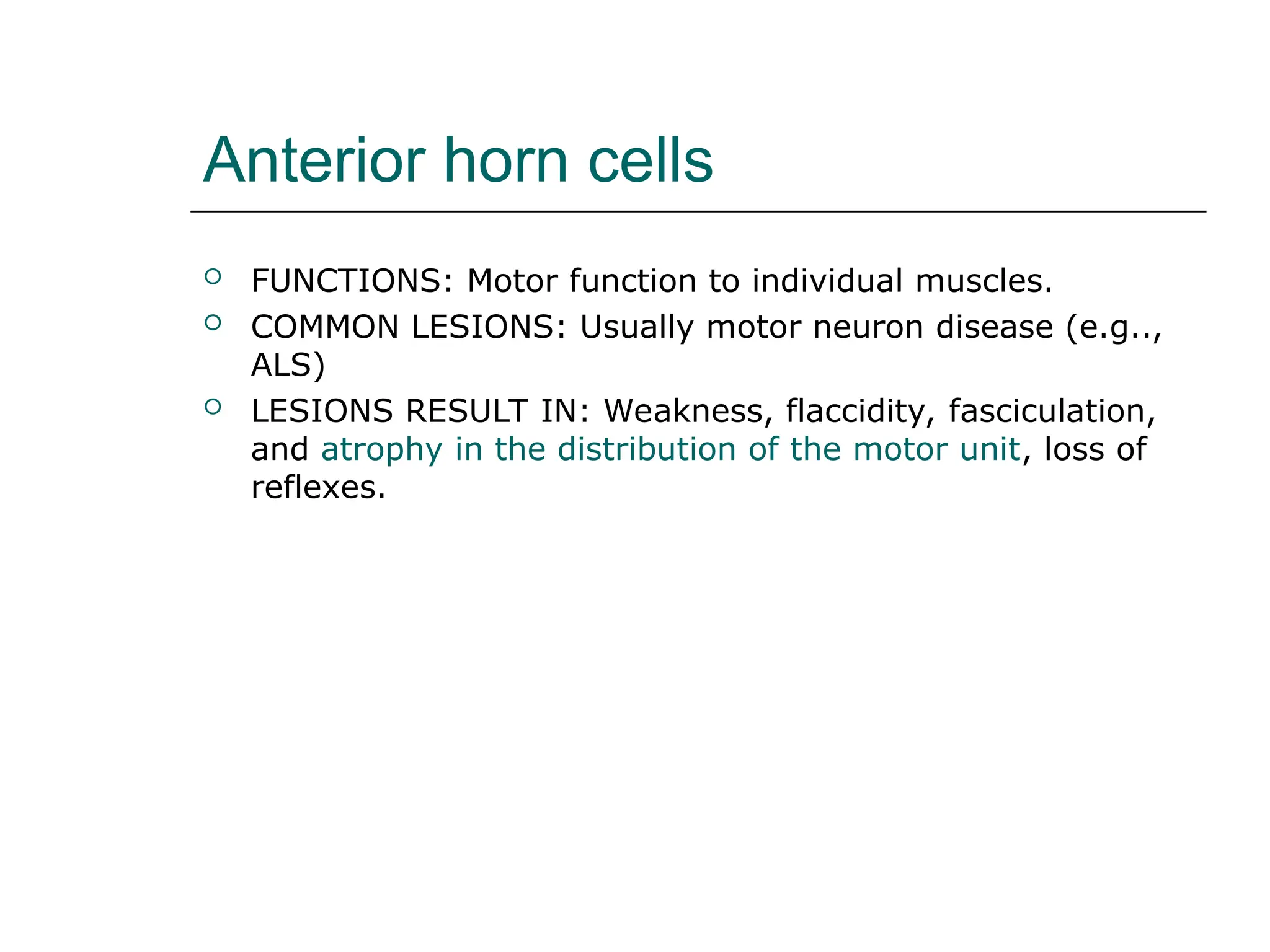 Anterior horn cells
 FUNCTIONS: Motor function to individual muscles.
 COMMON LESIONS: Usually motor neuron disease (e.g..,
ALS)
 LESIONS RESULT IN: Weakness, flaccidity, fasciculation,
and atrophy in the distribution of the motor unit, loss of
reflexes.
 