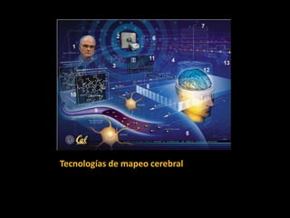 Tecnologías de mapeo cerebral
 