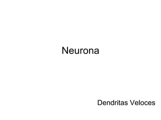 Neurona




      Dendritas Veloces
 