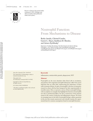IY30CH19-Zychlinsky         ARI      27 December 2011         13:33


                                                                                                                  Review in Advance first posted online
                                                                                          V I E W
                                                                                     E                            on January 3, 2012. (Changes may
                                                                                R

                                                                                                                  still occur before final publication



                                                                                                        S
                                                                                                                  online and in print.)


                                                                                                        C E
                                                                               I N




                                                                                                    N

                                                                                     A
                                                                                           D V A




                                                                                                                                                 Neutrophil Function:
                                                                                                                                                 From Mechanisms to Disease
                                                                                                                                                 Borko Amulic, Christel Cazalet,
                                                                                                                                                 Garret L. Hayes, Kathleen D. Metzler,
                                                                                                                                                 and Arturo Zychlinsky∗
Annu. Rev. Immunol. 2012.30. Downloaded from www.annualreviews.org
by Universidade Federal do Amazonas on 03/21/12. For personal use only.




                                                                                                                                                 Department of Cellular Microbiology, Max Planck Institute for Infection Biology,
                                                                                                                                                 Charit´ platz 1, 10117 Berlin, Germany; email: amulic@mpiib-berlin.mpg.de,
                                                                                                                                                        e
                                                                                                                                                 cazalet@mpiib-berlin.mpg.de, hayes@mpiib-berlin.mpg.de, metzler@mpiib-berlin.mpg.de,
                                                                                                                                                 zychlinsky@mpiib-berlin.mpg.de




                                                                                         Annu. Rev. Immunol. 2012. 30:459–89                     Keywords
                                                                                         The Annual Review of Immunology is online at
                                                                                         immunol.annualreviews.org                               inﬂammation, antimicrobial, granule, phagocytosis, NET
                                                                                         This article’s doi:                                     Abstract
                                                                                         10.1146/annurev-immunol-020711-074942
                                                                                                                                                 Neutrophils are the most abundant white blood cells in circulation,
                                                                                         Copyright c 2012 by Annual Reviews.
                                                                                         All rights reserved                                     and patients with congenital neutrophil deﬁciencies suffer from severe
                                                                                                                                                 infections that are often fatal, underscoring the importance of these
                                                                                         0732-0582/12/0423-0459$20.00
                                                                                                                                                 cells in immune defense. In spite of neutrophils’ relevance in immunity,
                                                                                         ∗
                                                                                           All authors contributed equally to the work and       research on these cells has been hampered by their experimentally in-
                                                                                         are listed alphabetically.
                                                                                                                                                 tractable nature. Here, we present a survey of basic neutrophil biology,
                                                                                                                                                 with an emphasis on examples that highlight the function of neutrophils
                                                                                                                                                 not only as professional killers, but also as instructors of the immune
                                                                                                                                                 system in the context of infection and inﬂammatory disease. We focus
                                                                                                                                                 on emerging issues in the ﬁeld of neutrophil biology, address questions
                                                                                                                                                 in this area that remain unanswered, and critically examine the experi-
                                                                                                                                                 mental basis for common assumptions found in neutrophil literature.



                                                                                                                                                                                                              459




                                                                                                                   Changes may still occur before final publication online and in print
 