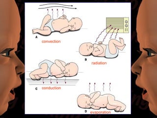 convection




             radiation




conduction




             evaporation
 
