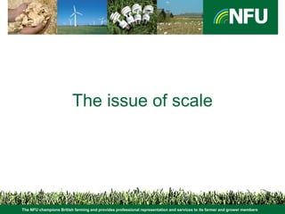 The NFU champions British farming and provides professional representation and services to its farmer and grower members
The issue of scale
 