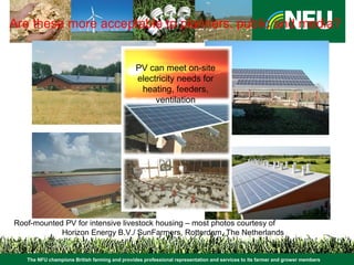 The NFU champions British farming and provides professional representation and services to its farmer and grower members
Are these more acceptable to planners, public and media?
Roof-mounted PV for intensive livestock housing – most photos courtesy of
Horizon Energy B.V./ SunFarmers, Rotterdam, The Netherlands
PV can meet on-site
electricity needs for
heating, feeders,
ventilation
 