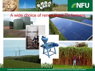 The NFU champions British farming and provides professional representation and services to its farmer and grower members
A wide choice of renewables for farmers
 